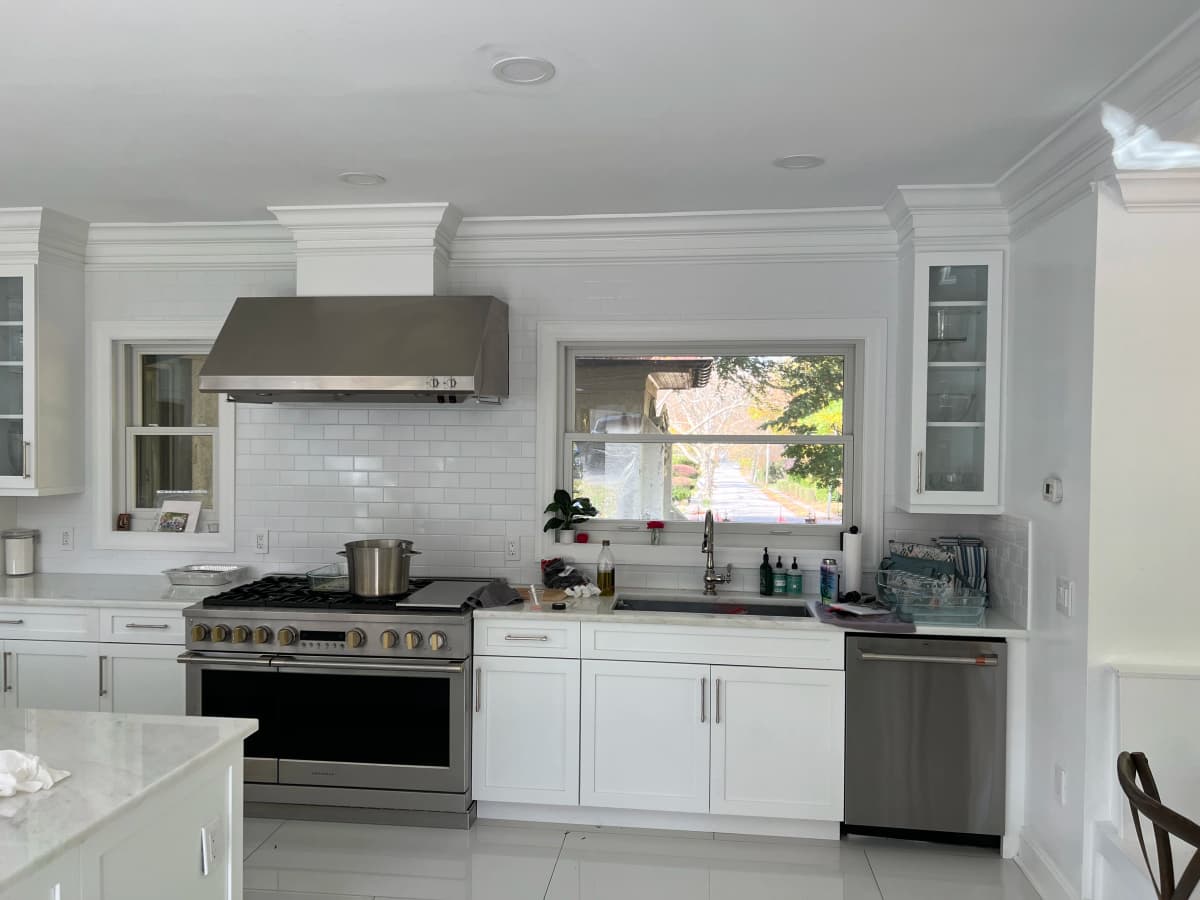 Professional painting services